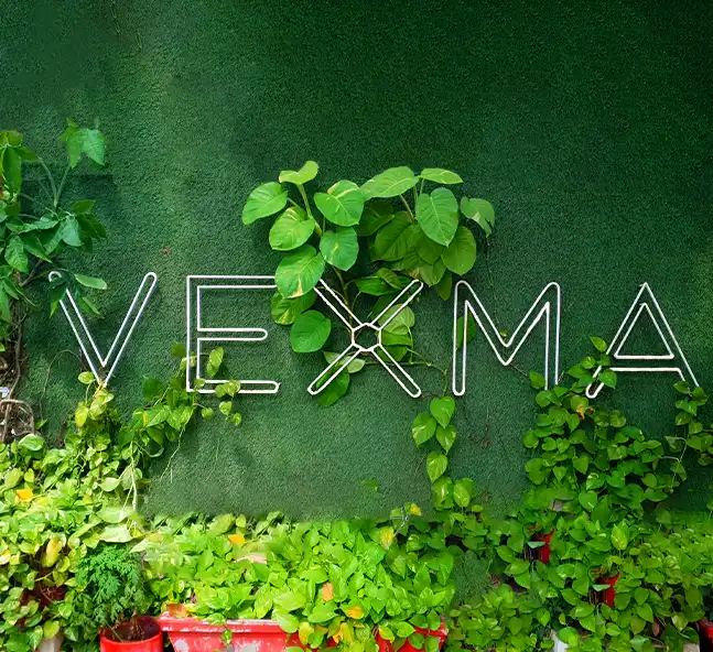 vexma technologies private limited